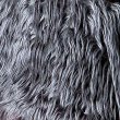 Pelo gris