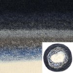 00081-FS 00081-FS