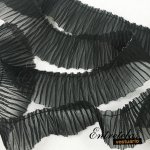 Volante-negro Volante-negro
