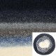 00081-FS