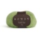 Celery k0014 Kidsilk Haze
