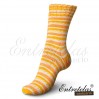 regia-tutti-frutti-color-2416-c