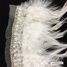 Cuello-plumas-2
