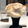 Boina-lana-ecoprin-2