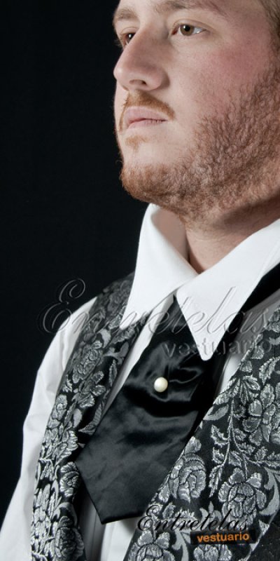 Imagen Plastrón